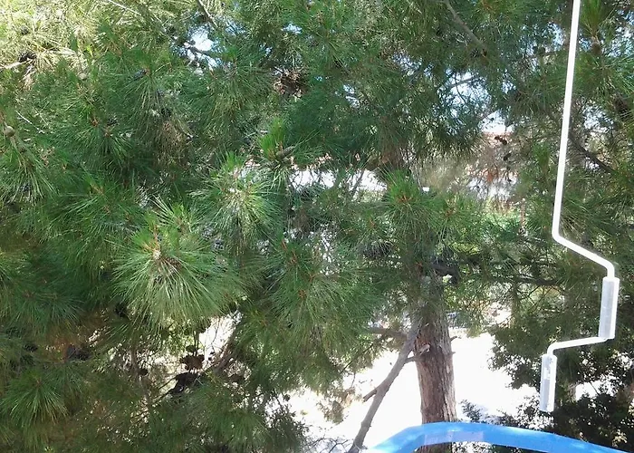 Anastasia Μέθανα